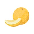 Melon icon. Whole fruit and half or wedge. Sweet food for a healthy diet, dessert, snack. Yellow fruit or vegetable