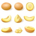 Melon icons set cartoon vector. Snacking cantaloupe Royalty Free Stock Photo