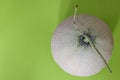 Melon isolated on a green background Royalty Free Stock Photo