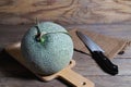 Melon and knife on cutting board Royalty Free Stock Photo