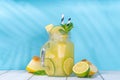 Melon lemonade or mojito Royalty Free Stock Photo
