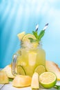 Melon lemonade or mojito Royalty Free Stock Photo