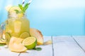 Melon lemonade or mojito Royalty Free Stock Photo