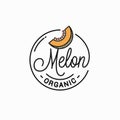 Melon logo. Round linear logo organic melon slice