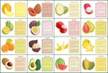 Melon and Mamey Avocado Lychee Posters Set Vector Royalty Free Stock Photo