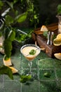 Melon margarita cocktail with mint in glass on dark green ceramic tile background Royalty Free Stock Photo