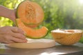 Melon.piece of ripe melon.Melon in a cut in female hands. Appetizing summer fruits. Women& x27;s hands cut a melon in a Royalty Free Stock Photo