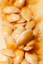 Melon seeds closeup Royalty Free Stock Photo