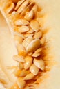 Melon seeds closeup Royalty Free Stock Photo