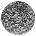 Melon skin texture close up. Round silhouette. Cracked peel structure. Vector black and white background Royalty Free Stock Photo