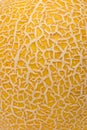 Melon skin texture close up. Summer background Royalty Free Stock Photo