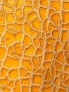 Melon skin texture close up. Summer background Royalty Free Stock Photo