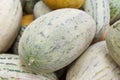 Melon torpedo on counter in daylight.