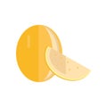 Melon Vector Illustration In Flat Style Design. Royalty Free Stock Photo