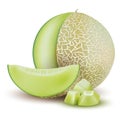 Melon. Whole fresh ripe sweet fruit with sliced juicy piece of cut. Melon realistic fruits