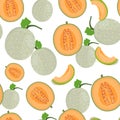 Melon whole and half seamless pattern on white background, Fresh cantaloupe melon pattern background Royalty Free Stock Photo