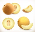Melon. Whole and pieces. Sweet fruit. 3d vector icons set