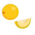 A melon, a whole round yellow melon, and half a melon. vector isolated on a white background Royalty Free Stock Photo