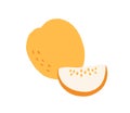 Melon, whole yellow fruit and cut piece. Cantaloupe drawn in doodle style. Fresh exotic summer nutrition. Ripe sweet