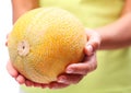 Melon in woman hands. Royalty Free Stock Photo