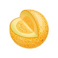 melon yellow cartoon vector illustration