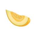 melon yellow slice cartoon vector illustration