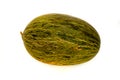 Melone Verde Sardo Royalty Free Stock Photo