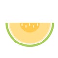 Melon logo vector. melon on white background.