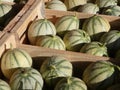 Melons Royalty Free Stock Photo