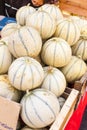 Melons cantaloupe Royalty Free Stock Photo