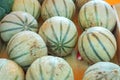 Melons selling in a market in France