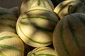 Melons from Cavaillon, ripe round charentais honey cantaloupe me