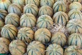 Melons from Cavaillon, ripe round charentais honey cantaloupe me