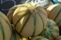 Melons from Cavaillon, ripe round charentais honey cantaloupe me