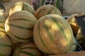 Melons from Cavaillon, ripe round charentais honey cantaloupe melons on local market in Provence, France Royalty Free Stock Photo