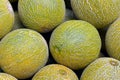 Melons on display in food market Royalty Free Stock Photo