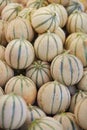 Melons on farmer market in Paris, France