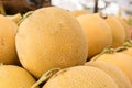 Melons Royalty Free Stock Photo