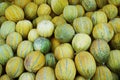 Melons on showcase Royalty Free Stock Photo