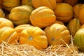 Melons are sold at local farmers market after harvest. Healthy eating and vitamins. Autumn harvest, juicy and ripe yellow melons. Royalty Free Stock Photo