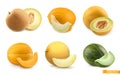 Melons, sweet fruits. 3d realistic vector icon set Royalty Free Stock Photo