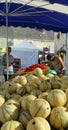 Melons and tomatoes for sale in open air market