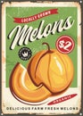 Melons vintage tin sign Royalty Free Stock Photo