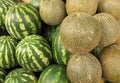 Melons and watermelons Royalty Free Stock Photo