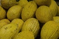 Large yellow melons located as a background Royalty Free Stock Photo