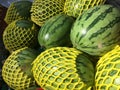 Melons in yellow plastic package Royalty Free Stock Photo