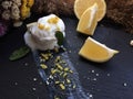 Melt white icecream with lemon on a black tray Royalty Free Stock Photo