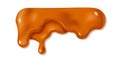 Melted caramel sauce drop Royalty Free Stock Photo