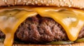 Melted Cheese Beef Burger Sandwich Closeup Royalty Free Stock Photo