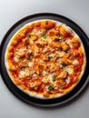 Melted Cheese Chicken Pizza Royalty Free Stock Photo
